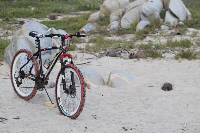 IPL’s Contribution to the Development of Cricketing Talent in Rural Areas