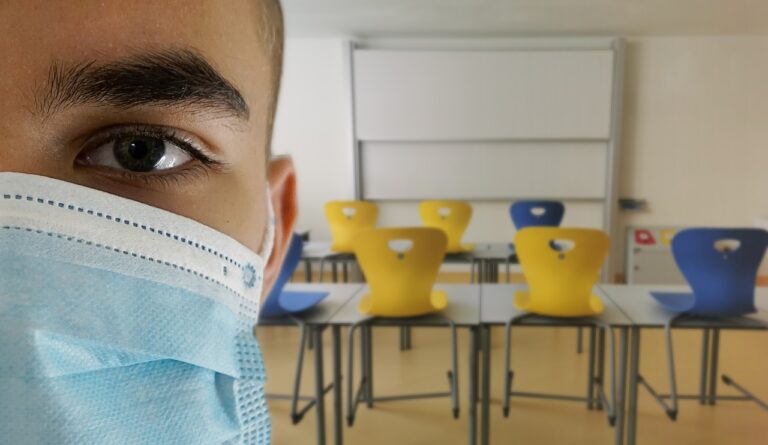 Exploring the Role of Education Consultants